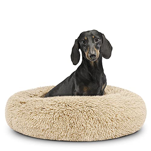 best-dog-beds The Donut Dog Bed