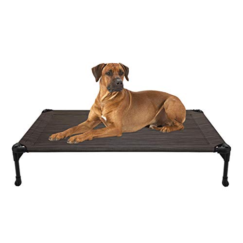 best-dog-beds Veehoo Elevated Dog Bed