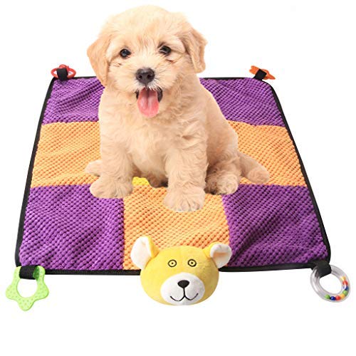 best-dog-blankets-for-small-dogs-and-puppies IFOYO Puppy Play Mat