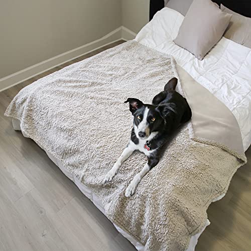 best-dog-blankets Pawsse Waterproof Dog Blanket