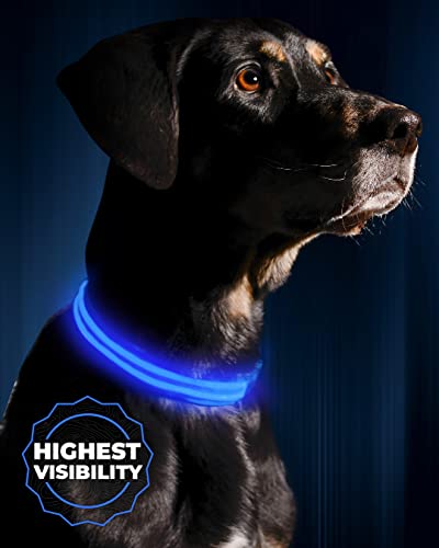 best-dog-collars Illumiseen LED Dog Collar
