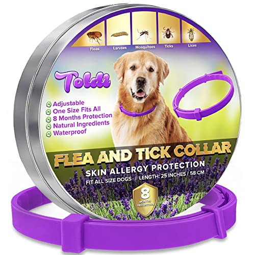 best-dog-collars Toldi Flea Dog Collar