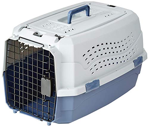 best-dog-crates Amazon Basics Two-Door Pet Kennel