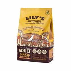 best-dog-food-for-golden-retrievers Lily's Kitchen Adult Dry Dog Food