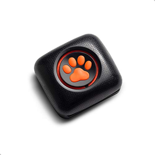 best-dog-gps-trackers PitPat Dog Activity and Fitness Monitor