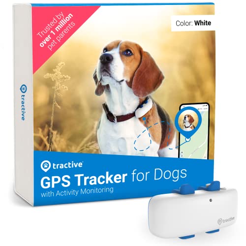 best-dog-gps-trackers Tractive GPS DOG 4