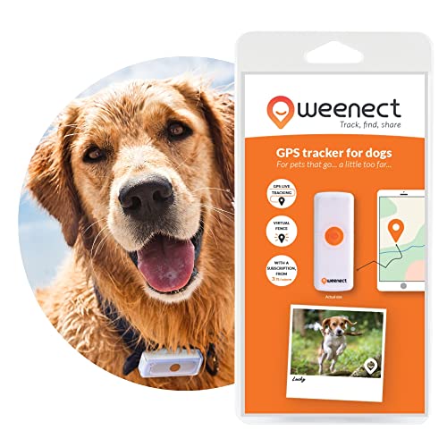 best-dog-gps-trackers Weenect Dog GPS Tracker