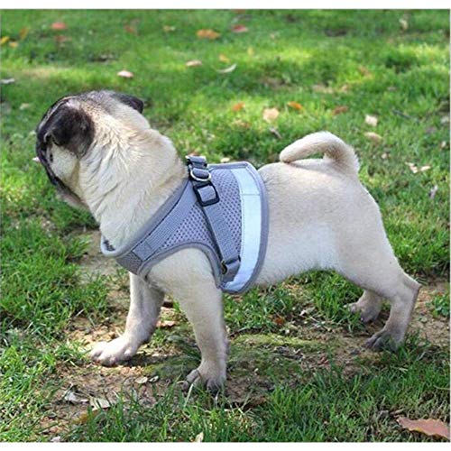 best-dog-harnesses Anlitent Soft Mesh Dog Harness