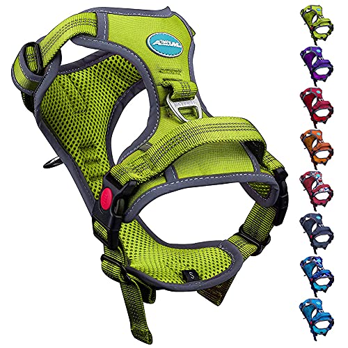 best-dog-harnesses ThinkPet Dog Harness