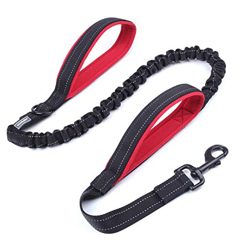 best-dog-leads VIVAGLORY Bungee Dog Lead