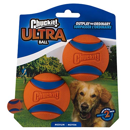 best-dog-toys Chuckit Ultra Rubber Dog Ball